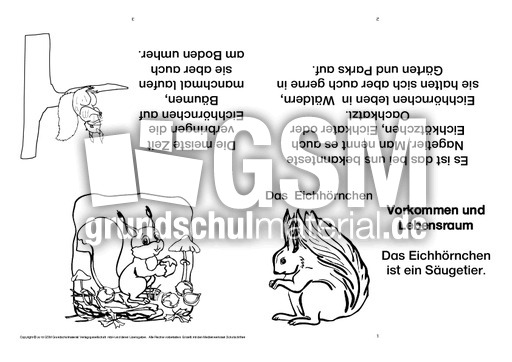 Eichhörnchen-Faltbuch-Vorkommen und Lebensraum.pdf